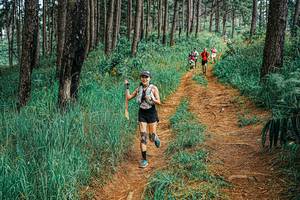 BIB: 
                            <button type="button" onclick="openModal(25663775)" class="btn btn-primary btn-sm float-right btn-popup" data-toggle="modal" data-target=".modal-high-quality">
                        <i class="fas fa-shopping-cart"></i> Add to Cart
                    </button>
                                            <button type="button" onclick="isThisMe(25663775, true)" class="btn btn-success btn-sm float-right btn-popup btn-isme hidden" data-toggle="tooltip" data-placement="bottom" title="นี่คือรูปของคุณใช่ไหม คลิกที่นี่เพื่อเอาเข้าอัลบั้ม">
                        <i class="fas fa-plus"></i> Add to album
                    </button>
                    <button type="button" onclick="isThisMe(25663775, false)" class="btn btn-warning btn-sm float-right btn-popup btn-isnotme hidden">
                        <i class="fas fa-ban"></i> Remove from album
                    </button>